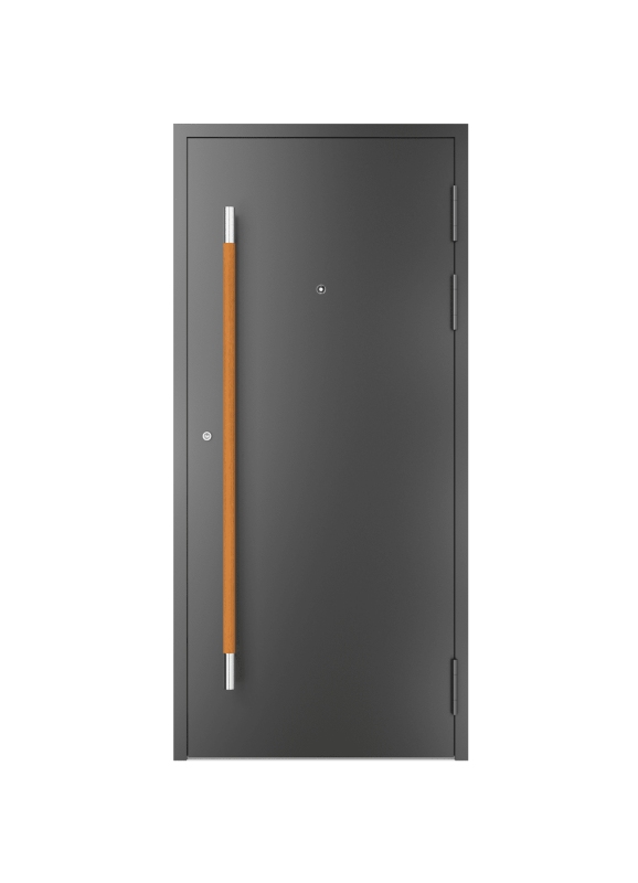 Haustür schwarz